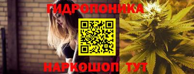 мдпв Апшеронск