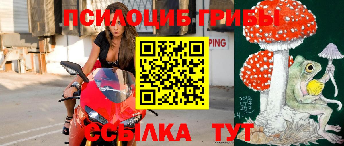Канабис Асино