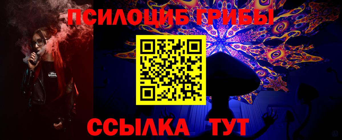 Галлюциногенные грибы прущие грибы  Вход с VPN  Асино 